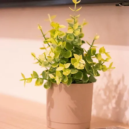 Peaceful - Near Kaari Mall, 5 Min To Train *